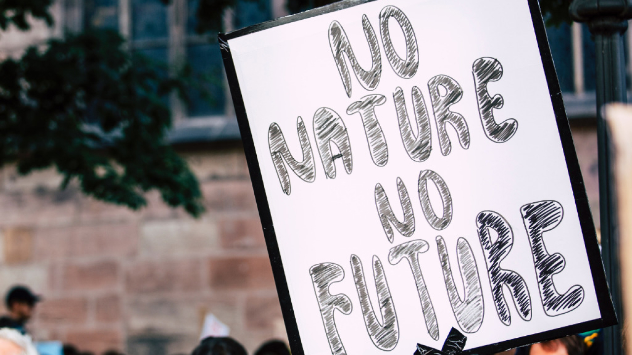 New Family - Image 1